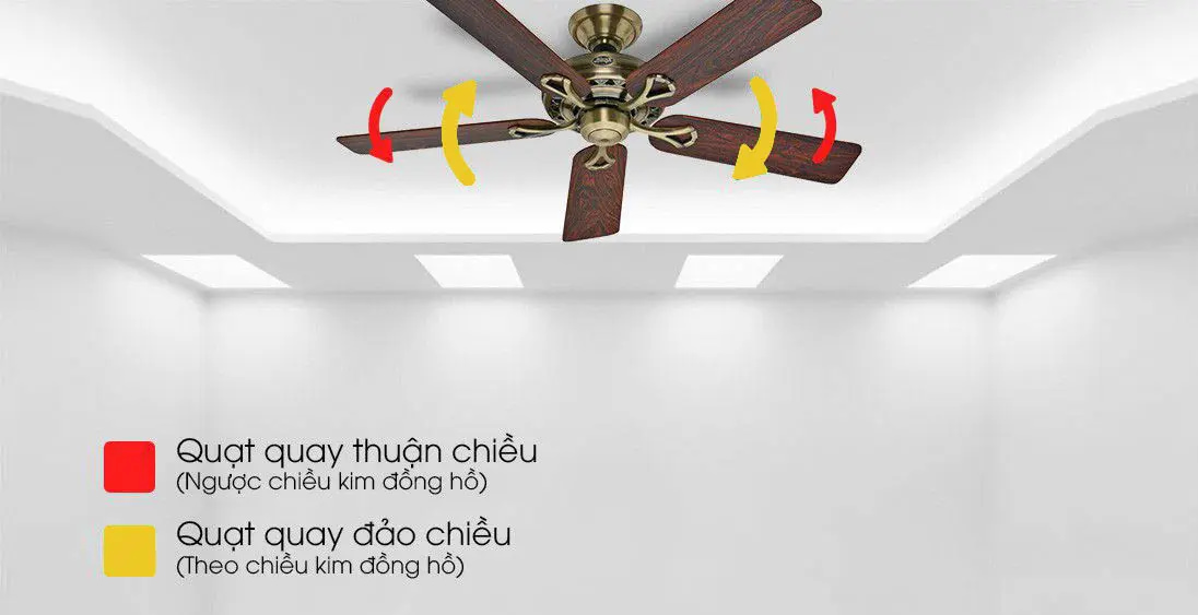 Quạt trần quay ngược có tác dụng gì