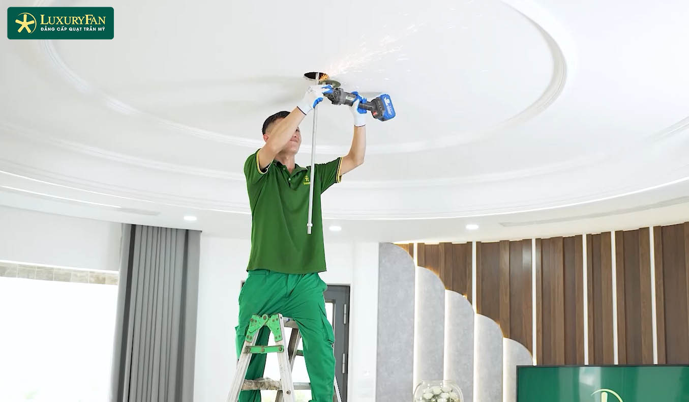 Dịch vụ chuyên nghiệp, tận tâm