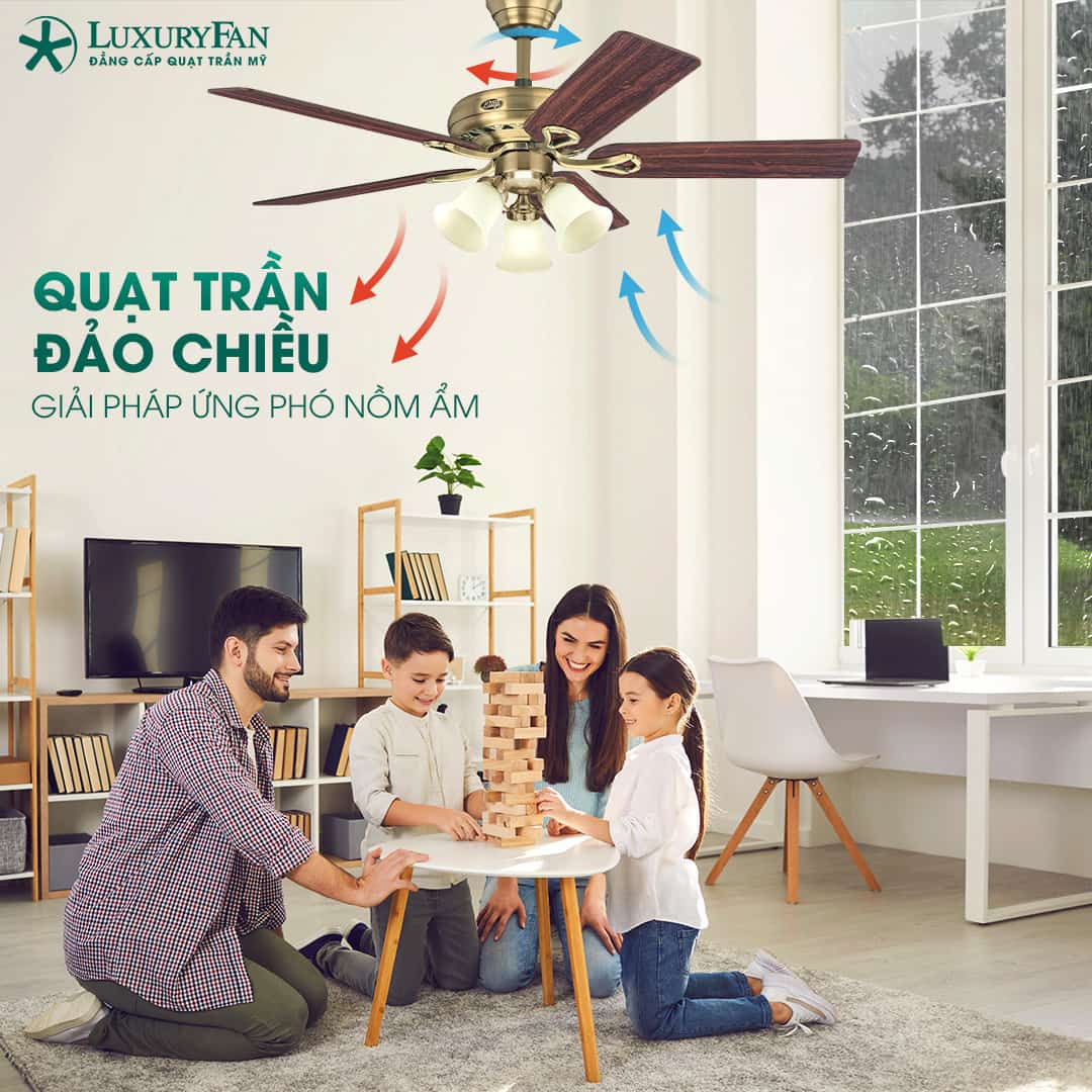 Quạt trần đảo chiều tại LuxuryFan giải pháp cho nồm ẩm