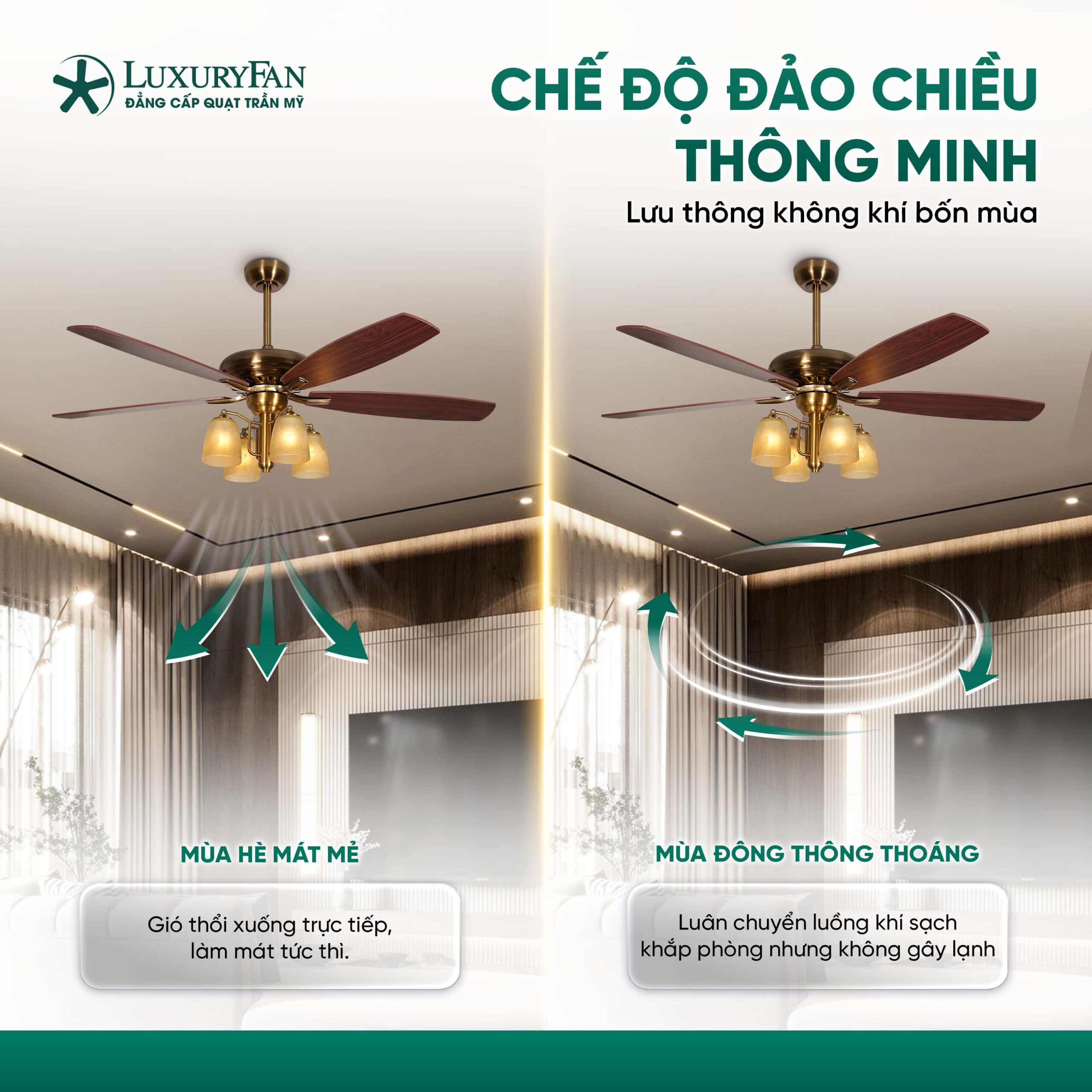 Chế độ đảo chiều thông minh
