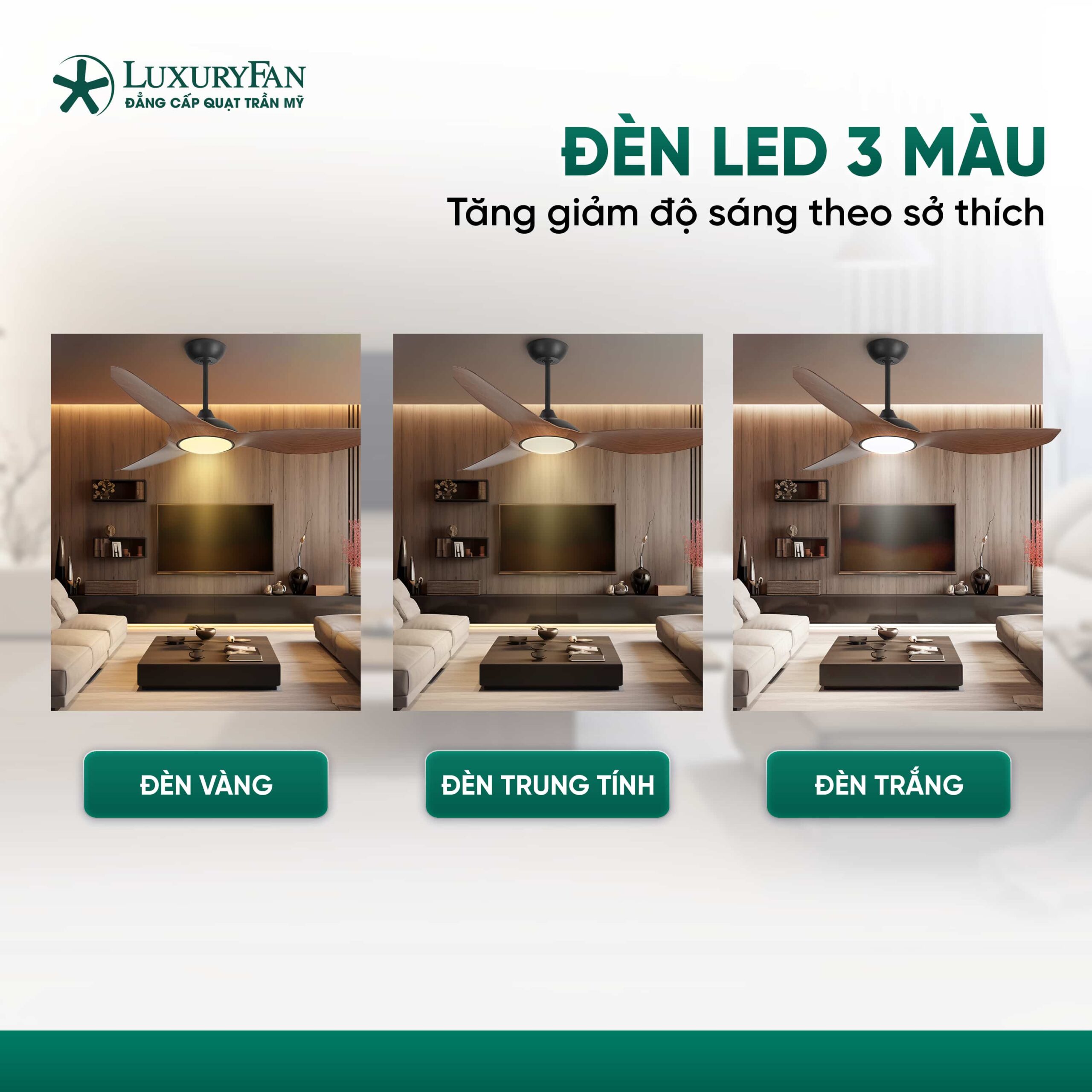 Đèn LED 3 màu, có thể tăng/giảm độ sáng